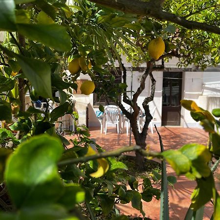 Casa Ciccio Apartment San Vito Lo Capo Bagian luar foto