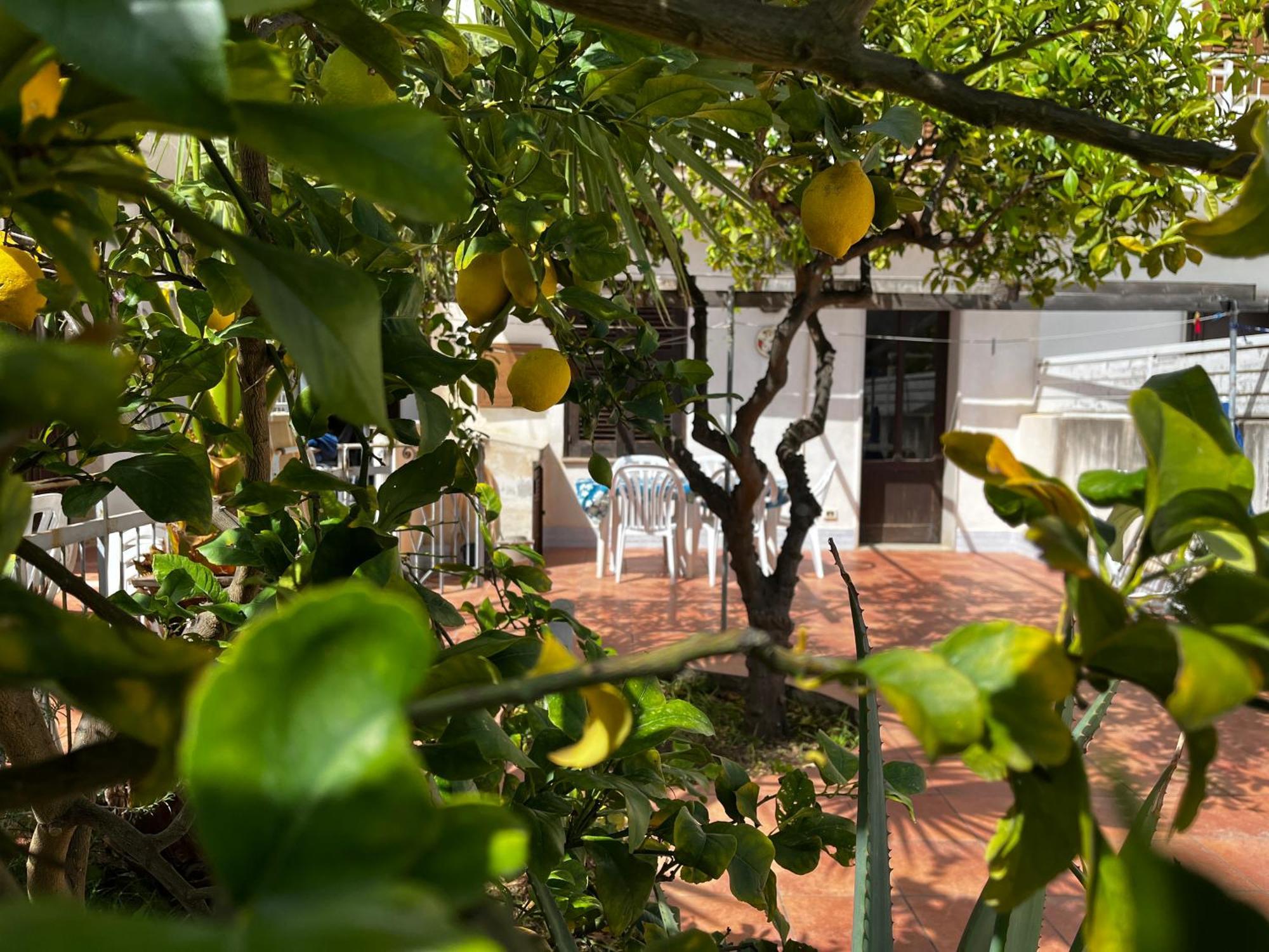 Casa Ciccio Apartment San Vito Lo Capo Bagian luar foto